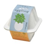 画像1: eggling eco　ミント (1)