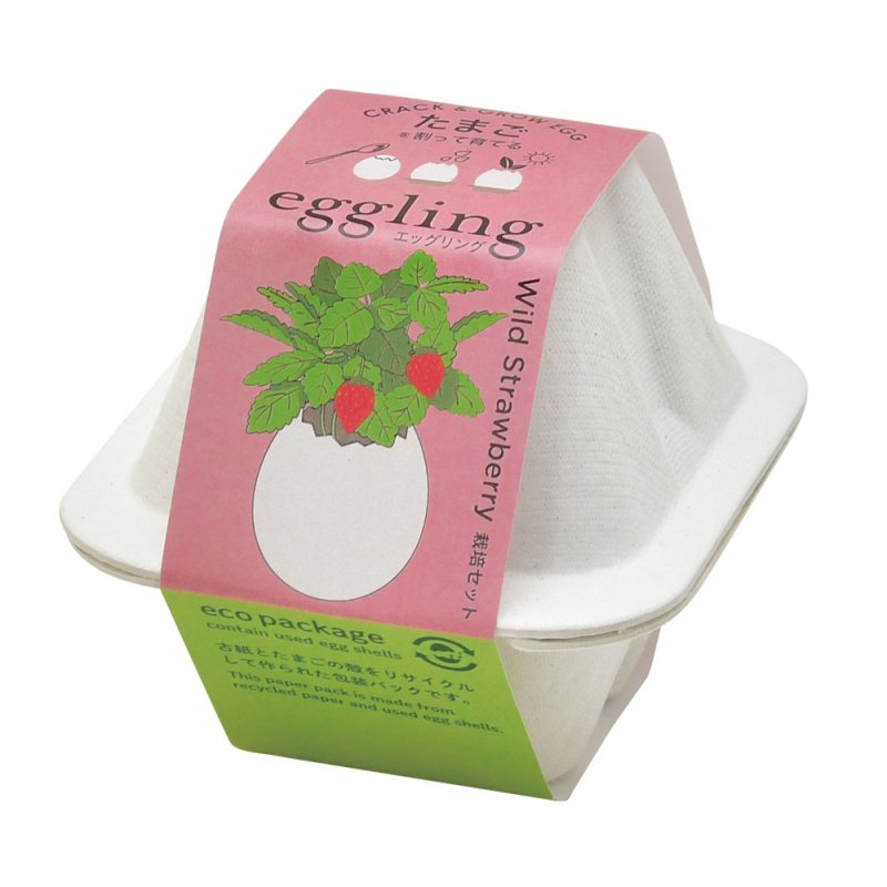 画像1: eggling eco　ワイルドストロベリー (1)