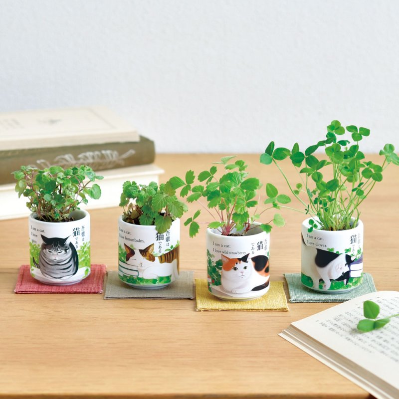 画像2: お芽でたおちょこ吾輩猫　ワイルドストロベリー (2)