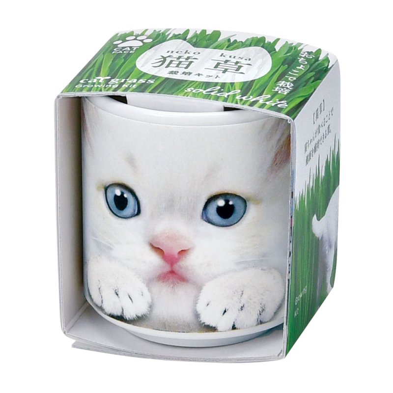 画像1: おちょこで猫草　白 (1)