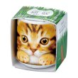 餃子をMacBookのように運ぶねこ / SUIMINグッズのお店