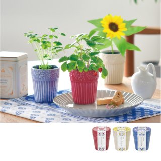 70726f647563742f6974656d2f4744