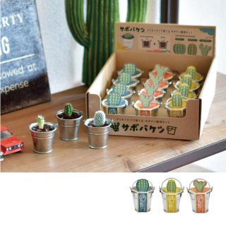 その他植物の栽培キット - SEISHIN PLUS (Page 1)