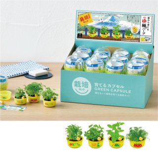 育てるカプセルシリーズ - SEISHIN PLUS