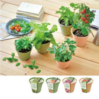 全商品 - SEISHIN PLUS