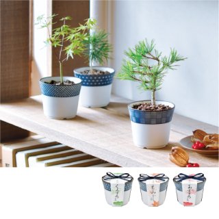 70726f647563742f6974656d2f4744