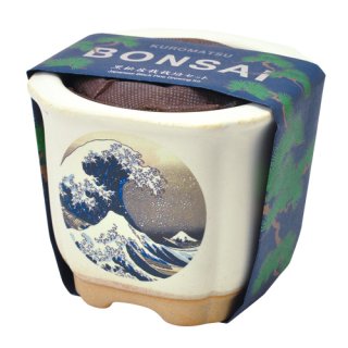Amazon.co.jp: konect 黒富士 影 鉢 富士山型 ➁ : DIY・工具