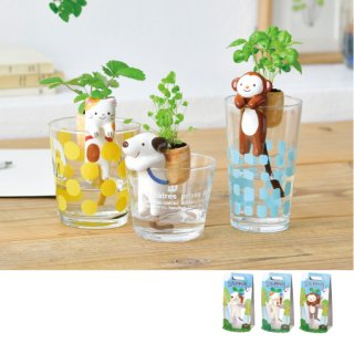 Shippon しっぽん｜動物のしっぽから水を吸って育てる栽培キット