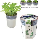 画像1: 染付小紋薬味小鉢 みつ葉 (1)