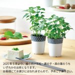 画像2: 染付小紋薬味小鉢 みつ葉 (2)