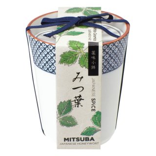 身近な薬用植物ものしり帖 - いつも、学ぶ人の近くに【ベレ出版】