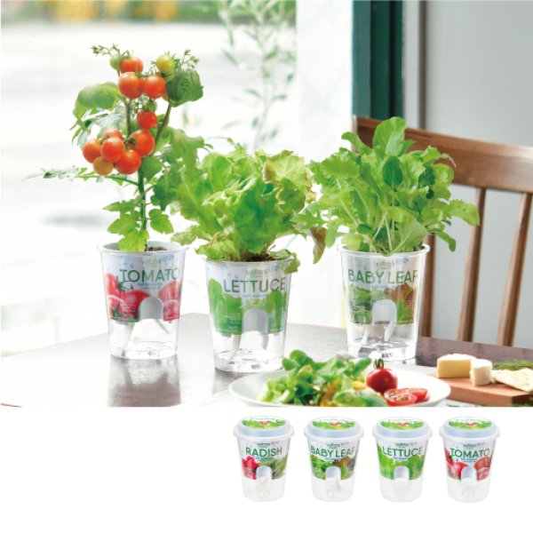 Fresh Feel｜お家で簡単！底面給水栽培セット