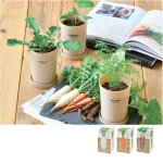 画像1: おうちで根菜栽培セット (1)