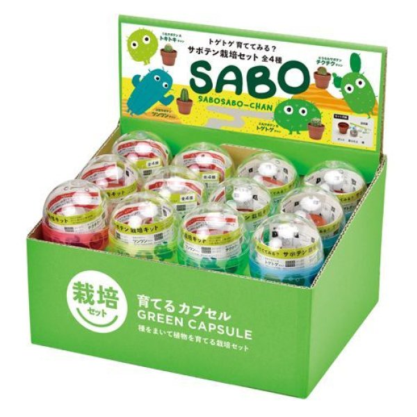 ザクセン かぼちゃデニッシュ 2個 ☆予約品（木曜日締切→翌週