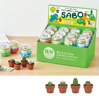 創造と創造の神秘 パーフェクトペテンシー 3枚セット 70726f647563742f6974656d2f4744