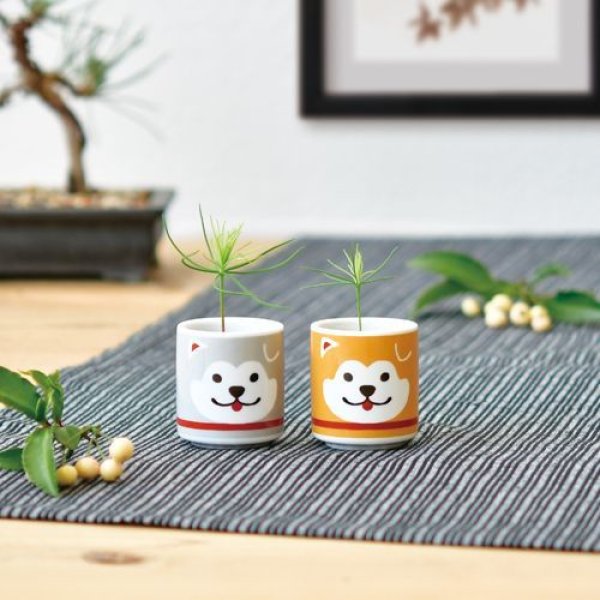 お部屋でできるちょこっと盆栽