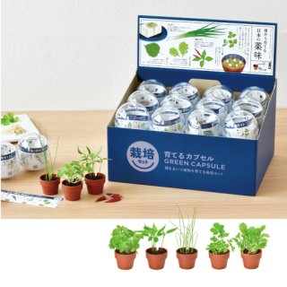育てるカプセルシリーズ - SEISHIN PLUS
