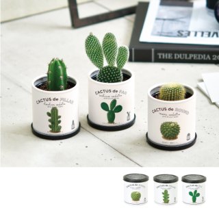 その他植物の栽培キット - SEISHIN PLUS (Page 1)