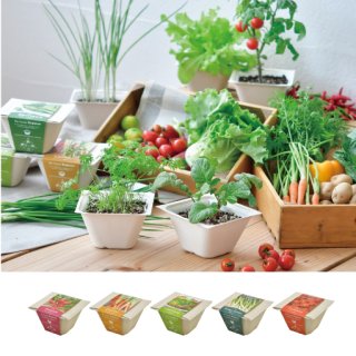 野菜の栽培キット - SEISHIN PLUS (Page 1)