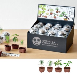 70726f647563742f6974656d2f4744