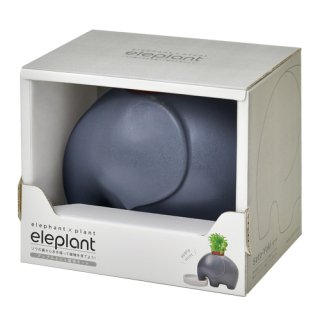 ローブドフルール ミントグリーン セットアップ ローブドフルール Mint Green Set-up ROBE De FLEURS Glossy