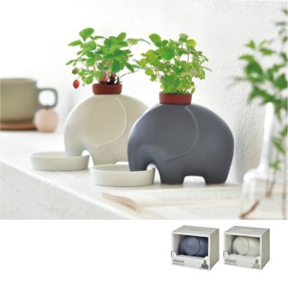 70726f647563742f6974656d2f4744