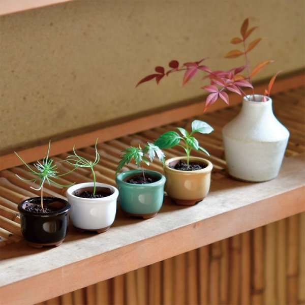 Y*u様 盆栽道具3点セット！⑥ 盆栽道具7点セットを販売｜盆栽妙 – 盆栽妙 本店