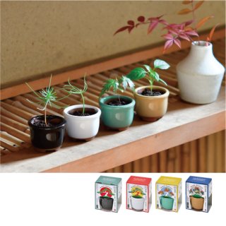 70726f647563742f6974656d2f4744