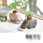 画像1: hippoplant（ヒポポプランツ）｜動物ポットで育てる観葉植物・かわいい癒しグリーン (1)