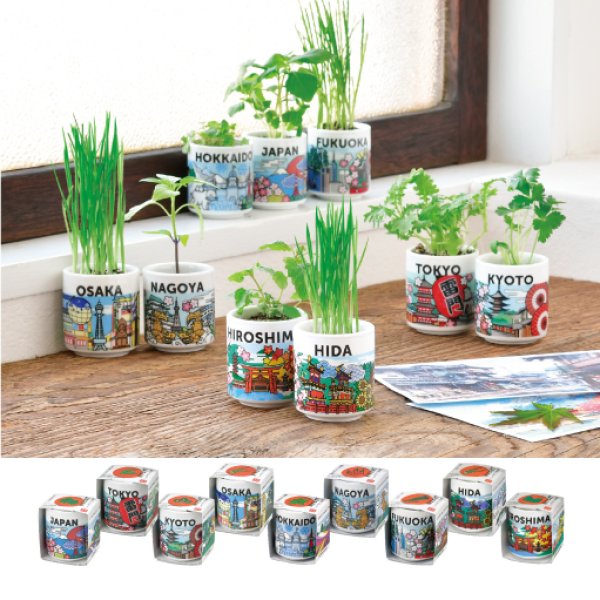 お部屋でできるちょこっと菜園