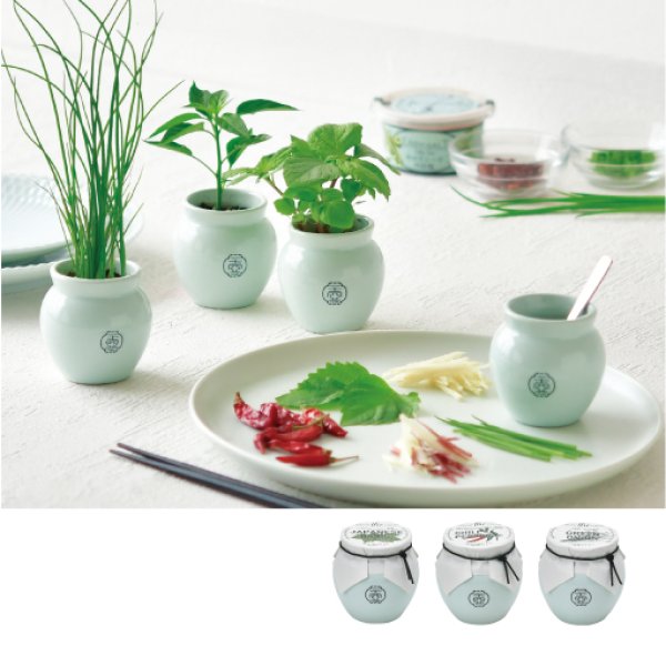 BABY THREE 植木鉢 シリーズ セット TSUBO｜漬物ツボのようなデザインがかわいい