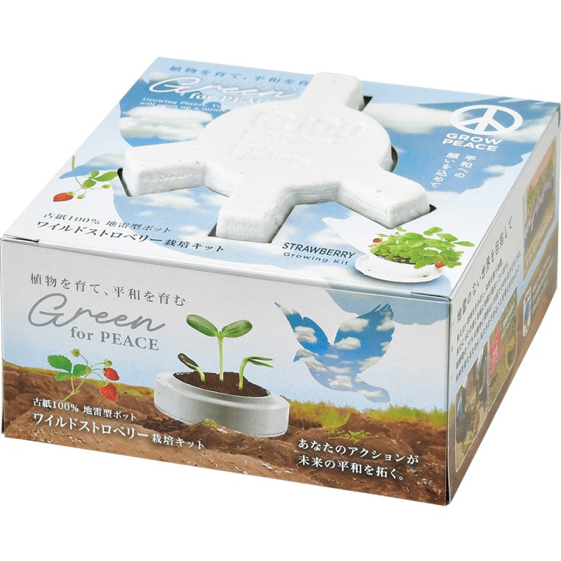 画像1: Green for Peace 　ワイルドストロベリー (1)
