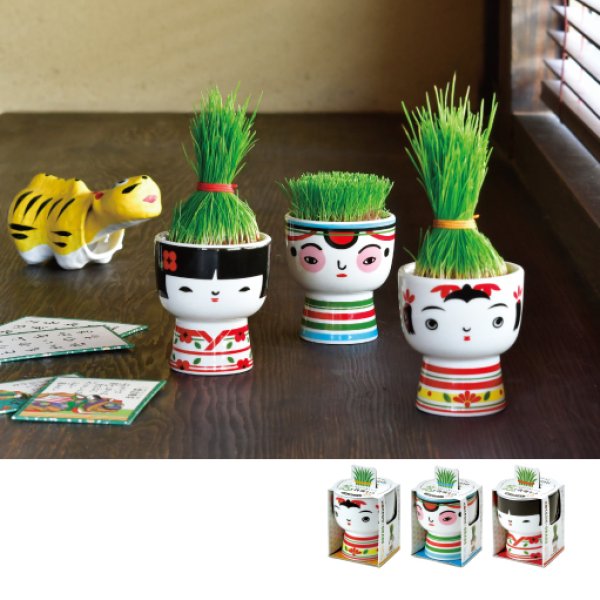 芝って栽培キット KOKESHI｜こけしデザインで芝を育てるユニークな栽培