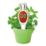 画像4: はらぺこあおむし　育てるカプセルクリア (4)