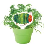 画像3: はらぺこあおむし　育てるカプセルクリア (3)