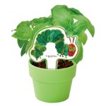 画像2: はらぺこあおむし　育てるカプセルクリア (2)