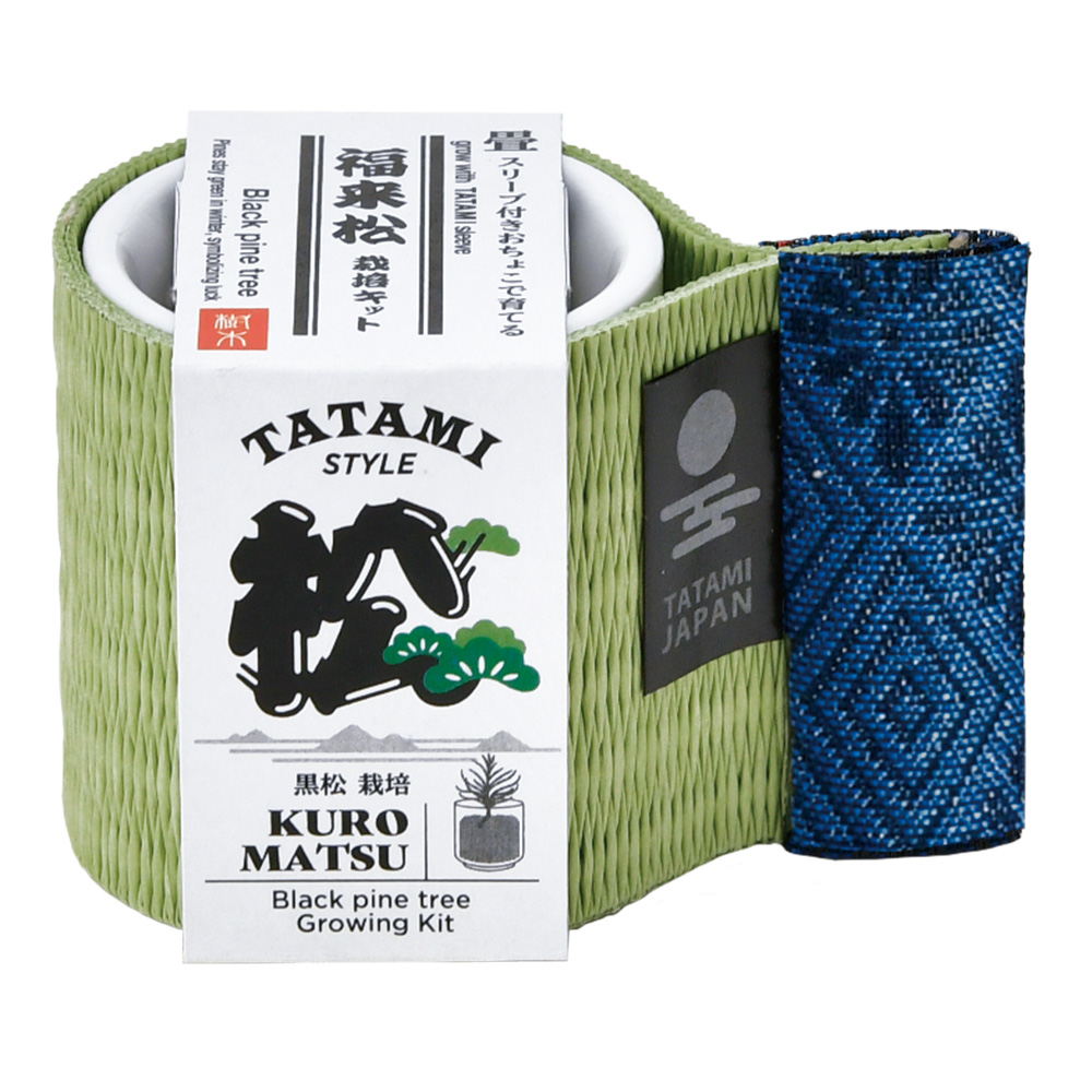 お芽でたおちょこ　畳　黒松