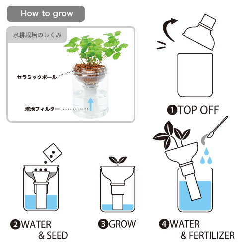 水やり簡単 水耕栽培セット