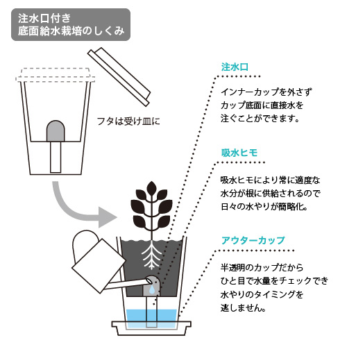 お家で始める野菜栽培セット