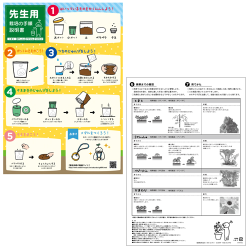 すくすく栽培セットbox ちびちびだいこん Seishin Plus